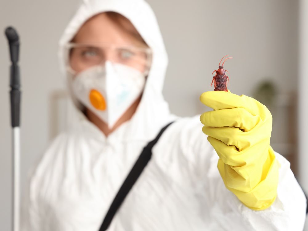 Profissional de dedetização com equipamento de proteção segurando inseto, mostrando qual o melhor produto para dedetização residencial com segurança.