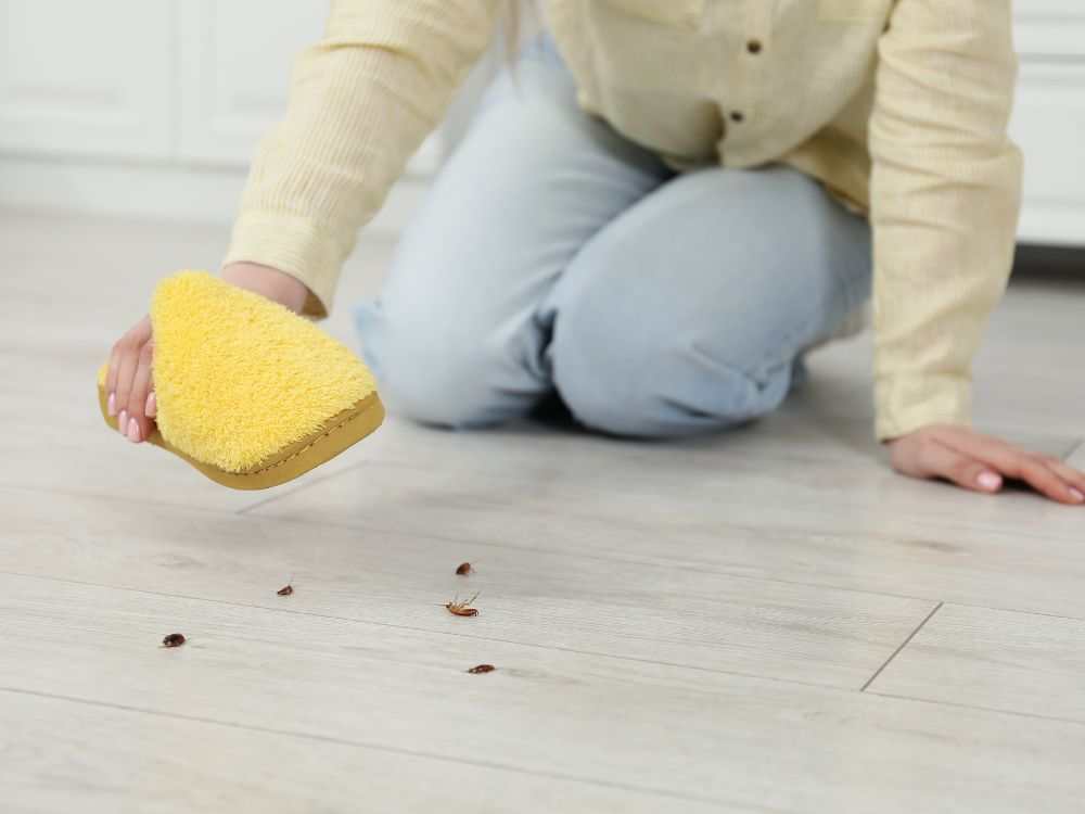 Pessoa limpando o chão com insetos visíveis, ilustrando qual o melhor produto para dedetização residencial em casos de infestação doméstica.