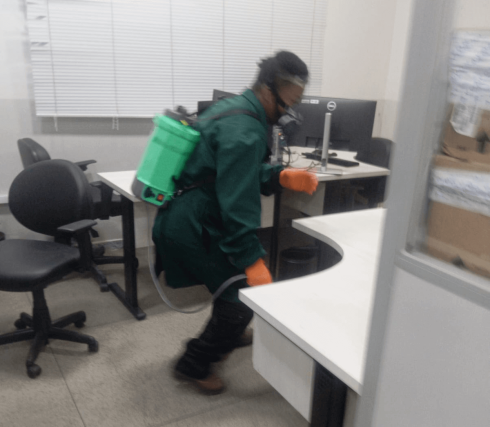 Dedetização de Baratas em Goiânia - Mister Pragas
