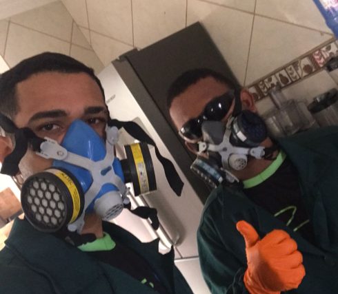 Desratização Desentupidora e Dedetizadora em Goiânia - Mister Pragas