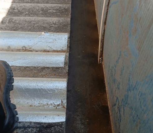 Limpeza de Calhas em Goiânia - Mister Pragas