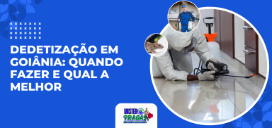 Quando fazer dedetização o guia completo para manter sua casa protegida